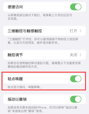 墨玉苹果授权维修站分享iPhone轻点无法唤醒怎么办 