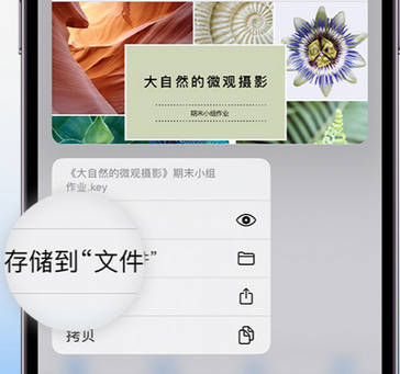 墨玉apple维修中心分享iPhone文件应用中存储和找到下载文件