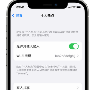 墨玉apple服务站点分享iPhone上个人热点丢失了怎么办 