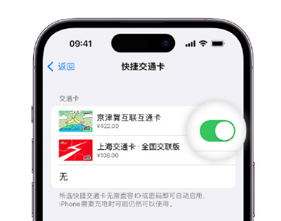 墨玉apple维修点分享iPhone上更换Apple Pay快捷交通卡手绘卡面 