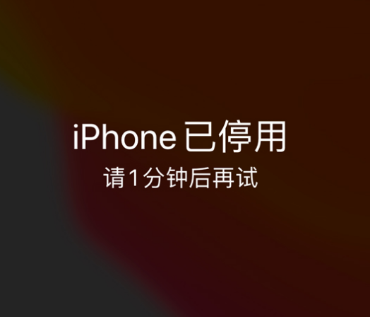 墨玉苹果手机维修分享:iPhone 显示“不可用”或“已停用”怎么办？还能保留数据吗？ 