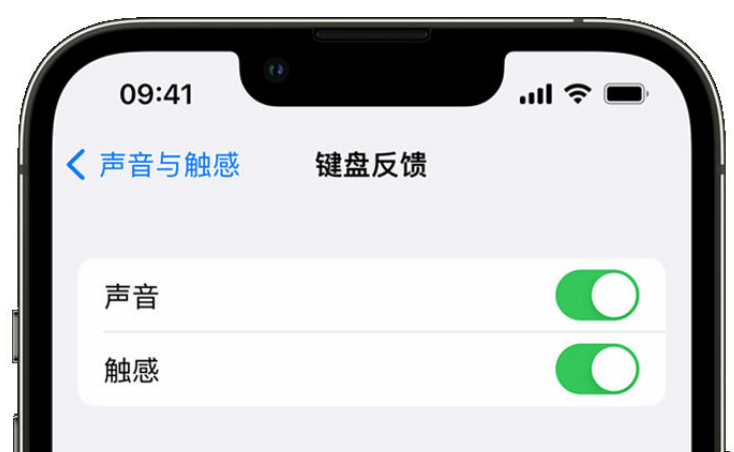 墨玉苹果手机维修分享iPhone 14触感键盘使用方法 