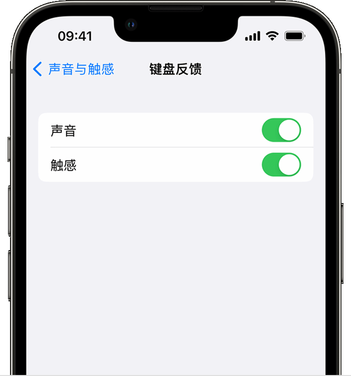 墨玉苹果14维修店分享如何在 iPhone 14 机型中使用触感键盘 