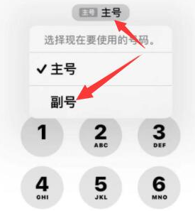 墨玉苹果14维修店分享iPhone 14 Pro Max使用副卡打电话的方法 