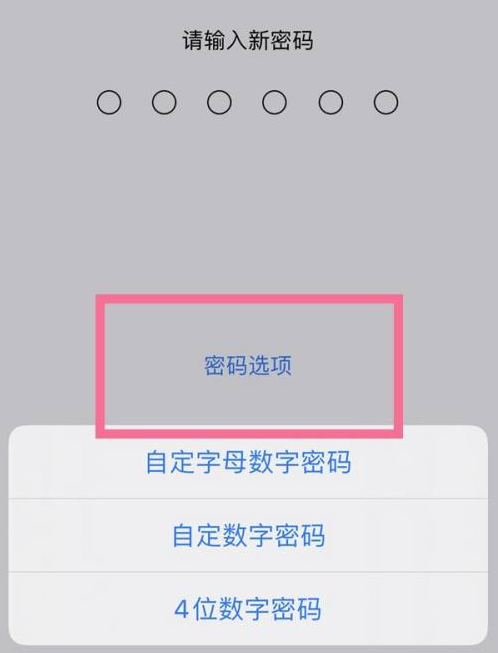 墨玉苹果14维修分享iPhone 14plus设置密码的方法 